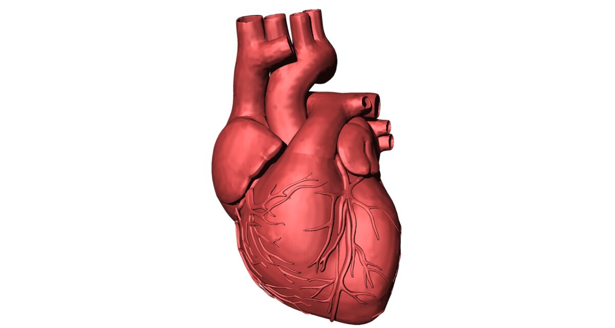 Cardiologist warns military personnel of hypertension, heart disease risks