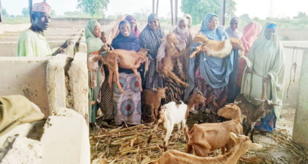 Years after, Kano revives 11 of 26 entrepreneurship institutes – Daily Trust Years after, Kano revives 11 of 26 entrepreneurship institutes – Daily Trust