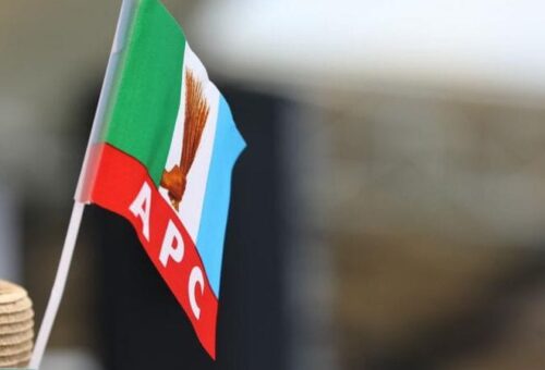 Court dismisses suit against Kwara APC gov’ship candidate – Daily Trust