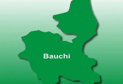 Why Continuity Matters in Bauchi – THISDAYLIVE