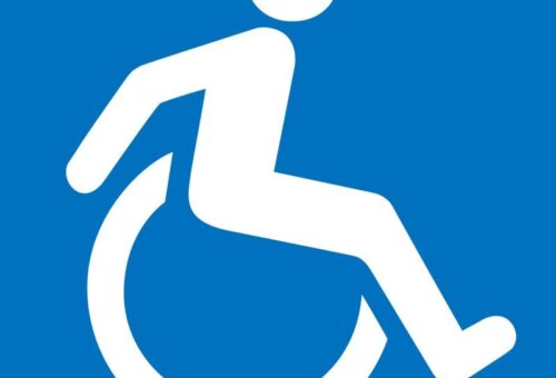 Group targets N500m to support children with disabilities – Daily Trust