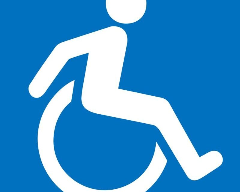 Group targets N500m to support children with disabilities – Daily Trust