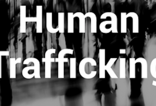 Summit Targets Human Trafficking, Education Gaps for Girls in Edo – THISDAYLIVE