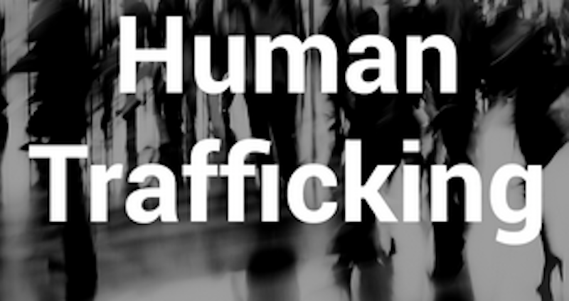 Summit Targets Human Trafficking, Education Gaps for Girls in Edo – THISDAYLIVE