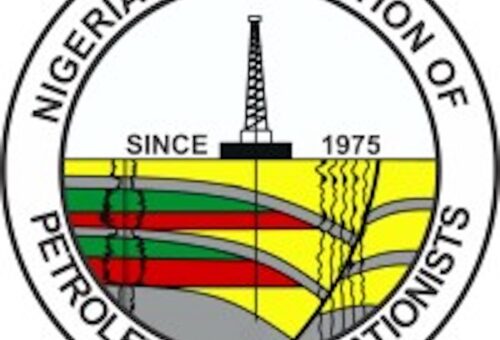 NAPE Tasks Oil Industry Operators on Integrated Operations  – THISDAYLIVE