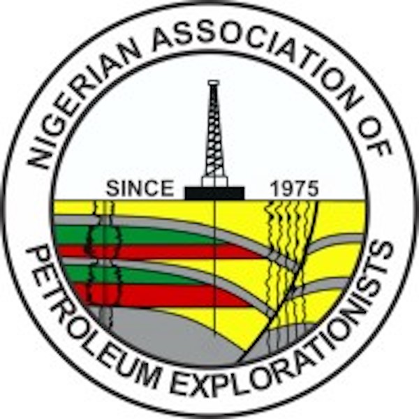 NAPE Tasks Oil Industry Operators on Integrated Operations – THISDAYLIVE NAPE Tasks Oil Industry Operators on Integrated Operations – THISDAYLIVE