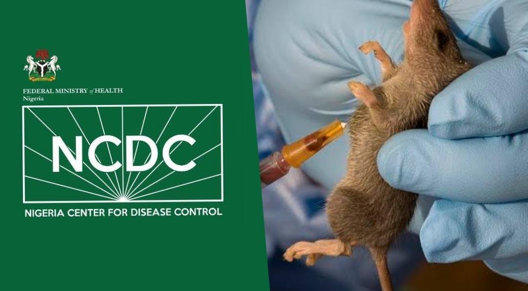 NCDC raises alarm over states’ preparedness for ebola, cholera, lassa fever NCDC raises alarm over states’ preparedness for ebola, cholera, lassa fever