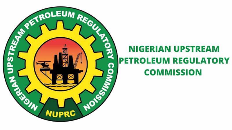 NUPRC Outlines Major Offshore Investment Pipelines – THISDAYLIVE