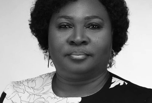 Responsible Use of Technology in Education Will Help Girls Remain Relevant – THISDAYLIVE