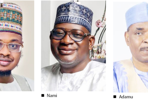 Pantami, Nami, Adamu know fate today – Daily Trust