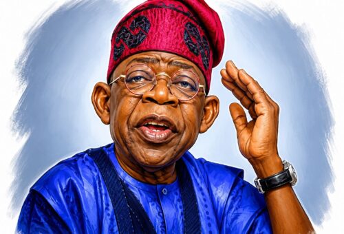 Tinubu re-election grassroots drive launched in Taraba – Daily Trust