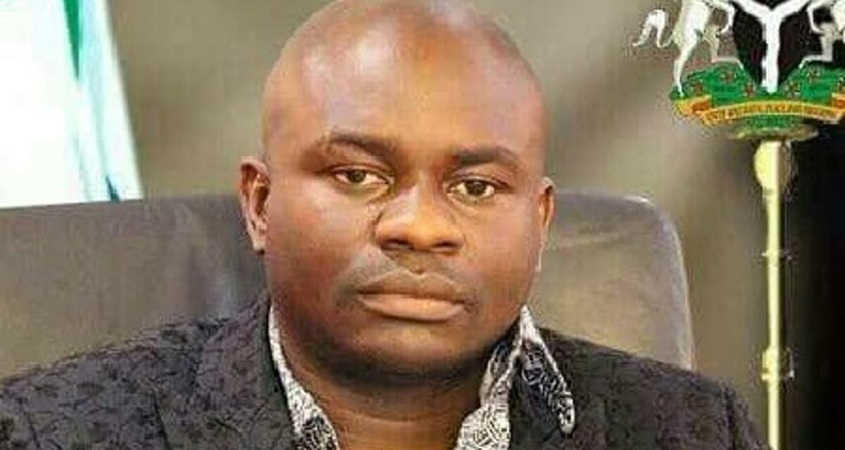 INTERVIEW: 2023 Presidency: Choice of candidate will mar PDP – Reps member, Farah Dagogo INTERVIEW: 2023 Presidency: Choice of candidate will mar PDP – Reps member, Farah Dagogo