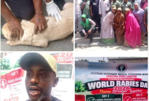 NVMA Seeks Concerted Effort To Eliminate Rabies In Zamfara