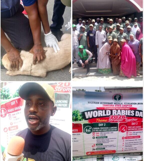 NVMA Seeks Concerted Effort To Eliminate Rabies In Zamfara NVMA Seeks Concerted Effort To Eliminate Rabies In Zamfara