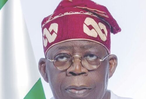 Heads of Federal Agencies Form Coalition for Tinubu’s Reelection – THISDAYLIVE