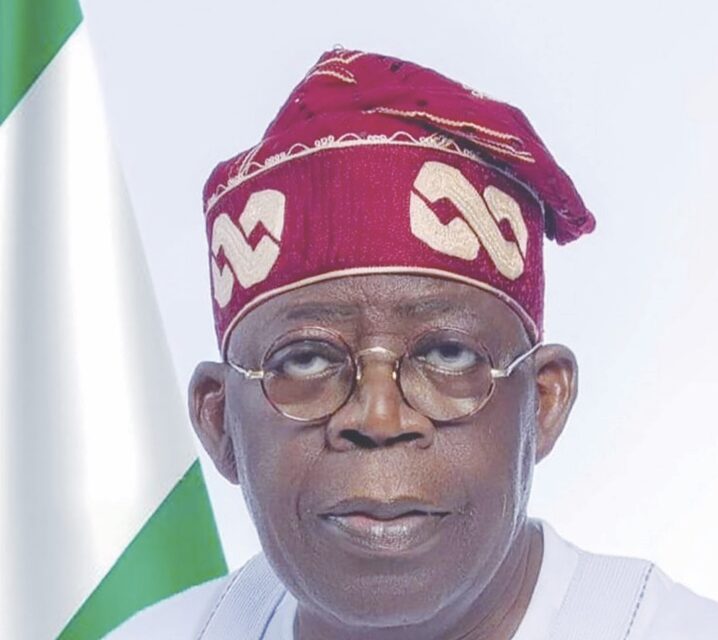 Heads of Federal Agencies Form Coalition for Tinubu’s Reelection – THISDAYLIVE