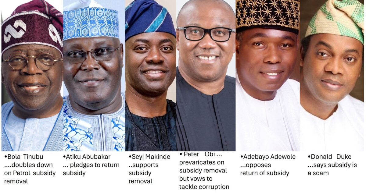 A Subsidy Debate and the Green Agenda of Electoral Candidates – THISDAYLIVE A Subsidy Debate and the Green Agenda of Electoral Candidates – THISDAYLIVE