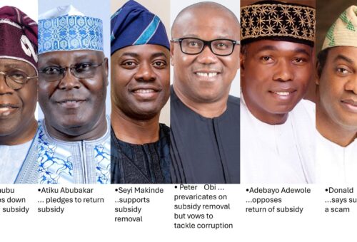 A Subsidy Debate and the Green Agenda of Electoral Candidates   – THISDAYLIVE
