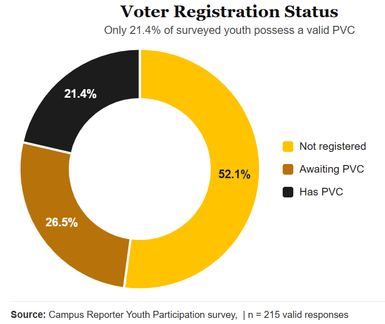Why young Nigerians are losing faith in elections
