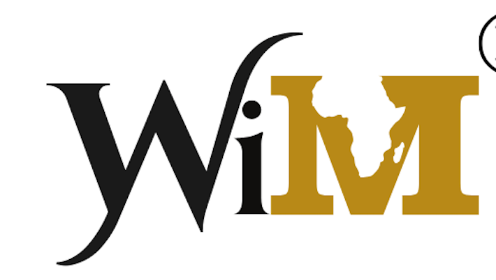 Africa Must Have A Say in How Its Minerals Are Priced, Says WiM-Africa – THISDAYLIVE