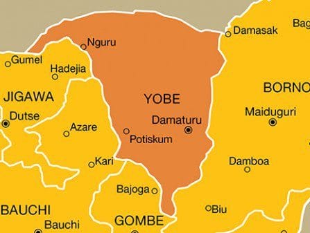 Yobe ADC refunds N1m ‘inducement’ over LG poll meeting – Daily Trust