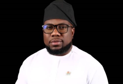 Firm Launches Commerce Platform to Connect 774 LGAs – THISDAYLIVE