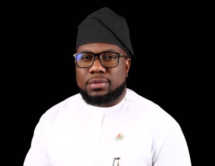 Firm Launches Commerce Platform to Connect 774 LGAs – THISDAYLIVE