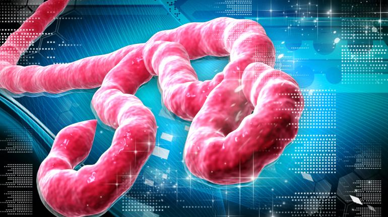 NCDC warns of importation risk after Kenya confirms first case
