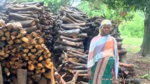 FCT Residents Turn To Firewood As Cooking Gas Price Soars