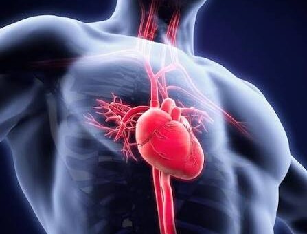 Awareness, Early Screening Key To Preventing Heart Disease