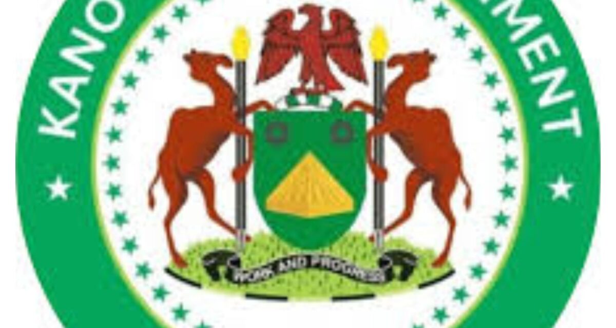 Diphtheria: Kano govt rules out school closure over outbreak