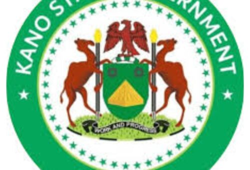 Diphtheria: Kano govt rules out school closure over outbreak